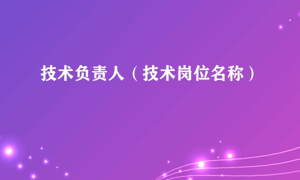 技术负责人（技术岗位名称）