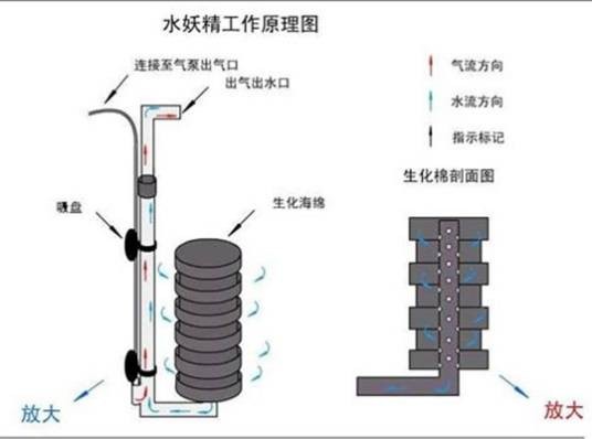 水妖精（水族箱内置过滤器）
