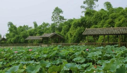 休闲农业（一种新型农业生产经营形态）