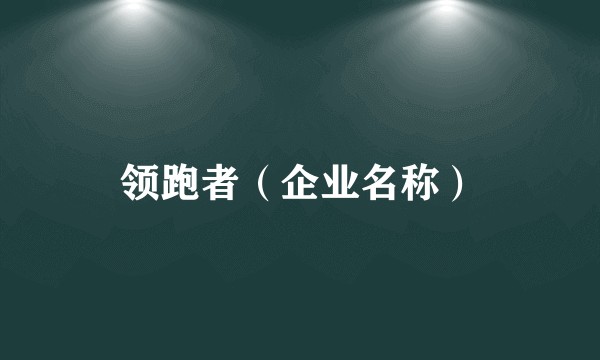 领跑者（企业名称）