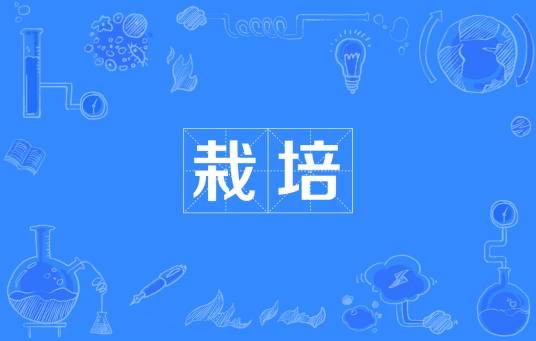 栽培（汉语词语）