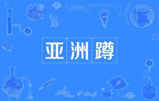 亚洲蹲