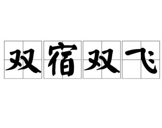 双宿双飞（汉语词语）