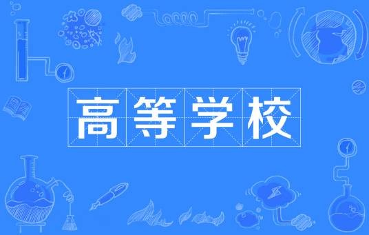 高等学校(实施高等教育的学校)
