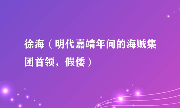 徐海（明代嘉靖年间的海贼集团首领，假倭）