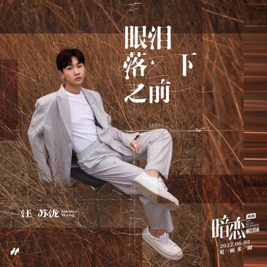 眼泪落下之前（2022年汪苏泷演唱的歌曲）