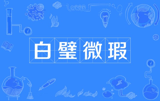 白璧微瑕（汉语成语）