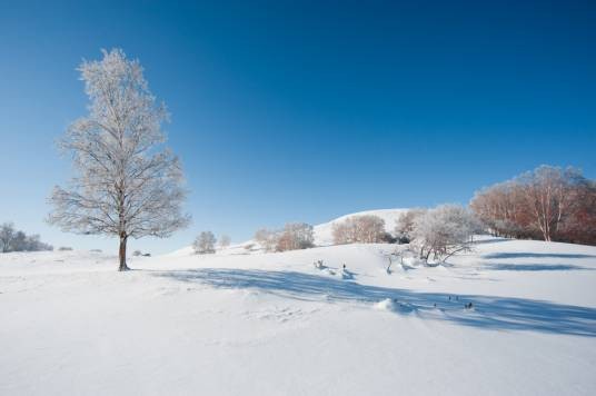 雪原（汉语）