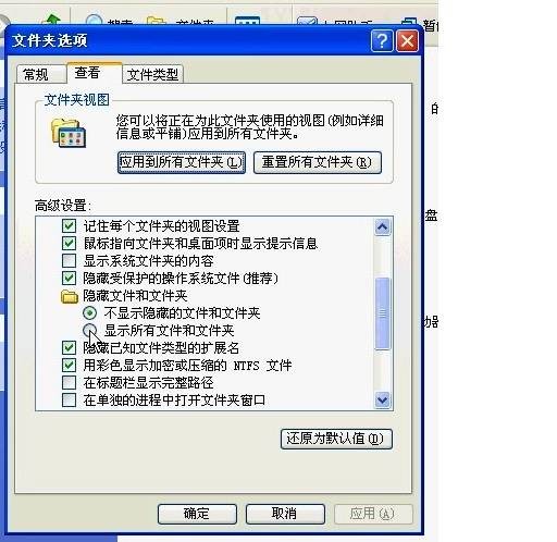 文件夹选项