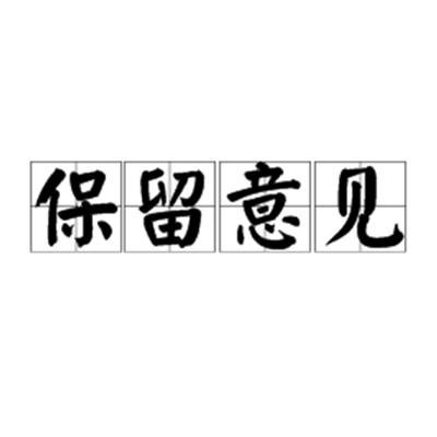 保留意见