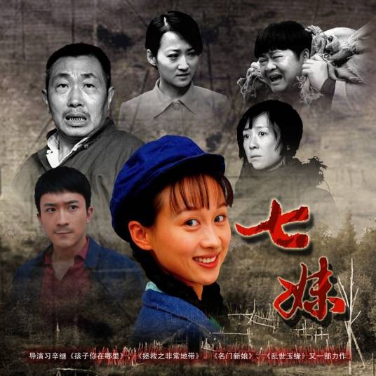 七妹（2009年习辛执导的电视剧）