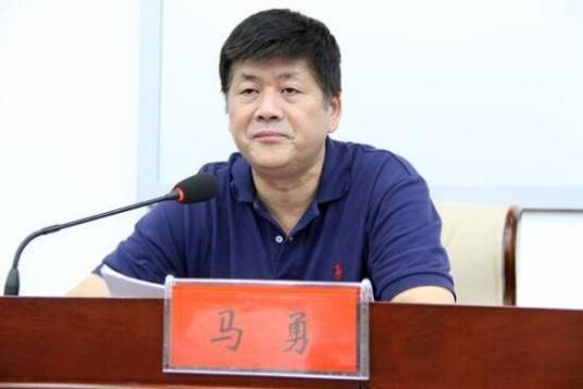 马勇（湖南省委原副秘书长）