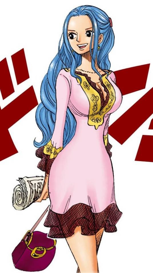 奈菲特·D·薇薇（日本漫画《航海王》及其衍生作品中的角色）
