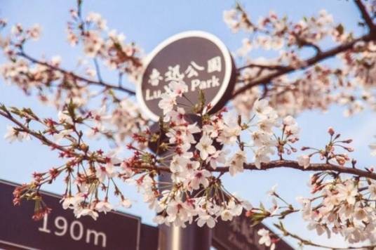 鲁迅公园（上海市国家AAA级旅游景区）