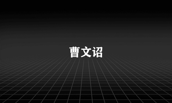 曹文诏