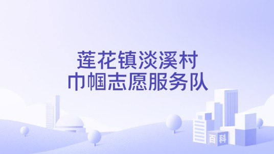 莲花镇淡溪村巾帼志愿服务队