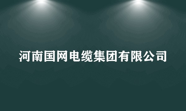 河南国网电缆集团有限公司