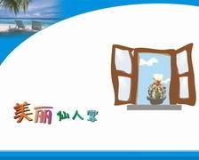 美丽仙人掌
