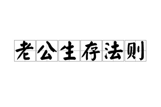 老公生存法则