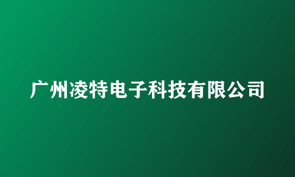 广州凌特电子科技有限公司