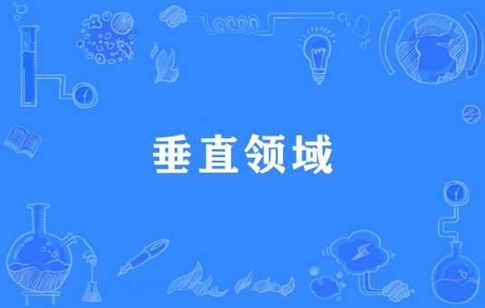 垂直领域