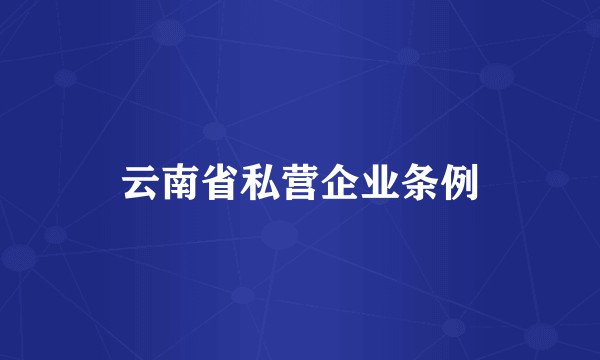 云南省私营企业条例