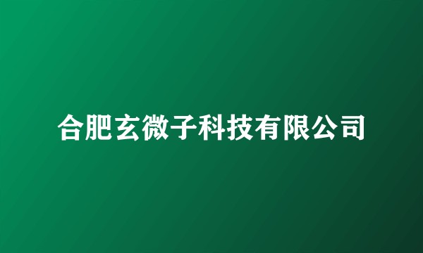 合肥玄微子科技有限公司