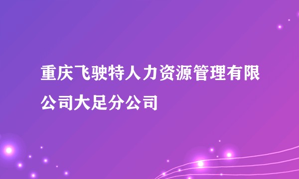 重庆飞驶特人力资源管理有限公司大足分公司