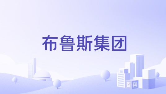 布鲁斯集团