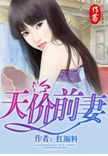 天价前妻(作客文学网小说)