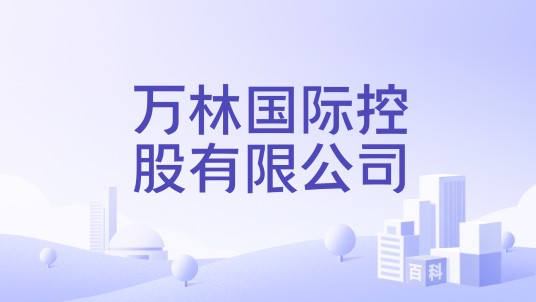 万林国际控股有限公司