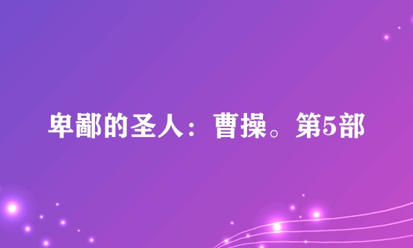 卑鄙的圣人:曹操。第5部