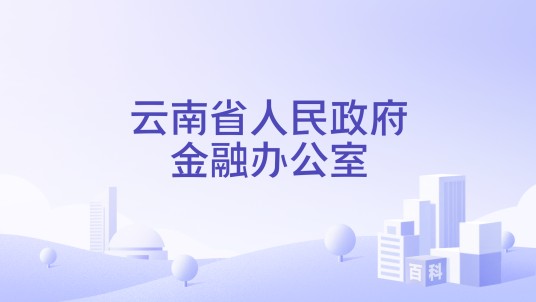 云南省人民政府金融办公室