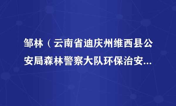 邹林(云南省迪庆州维西县公安局森林警察大队环保治安中队队长)