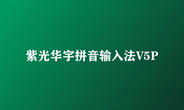 紫光华宇拼音输入法V5P