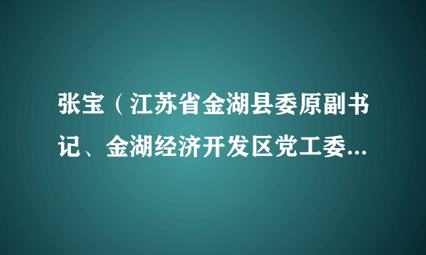 张宝（江苏省金湖县委原副书记、金湖经济开发区党工委原书记）