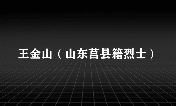 王金山（山东莒县籍烈士）