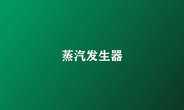 蒸汽发生器