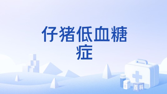 仔猪低血糖症
