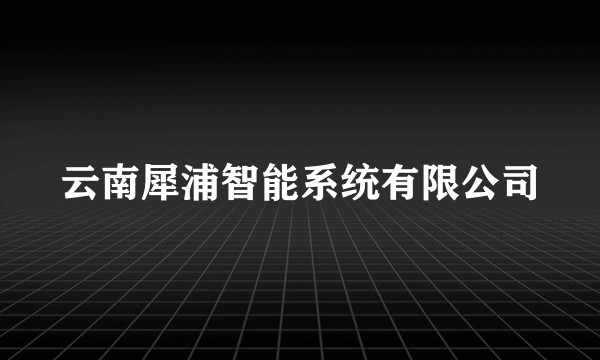 云南犀浦智能系统有限公司