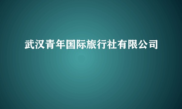 武汉青年国际旅行社有限公司