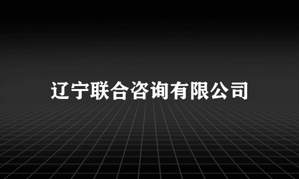 辽宁联合咨询有限公司