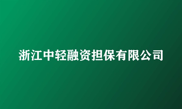 浙江中轻融资担保有限公司