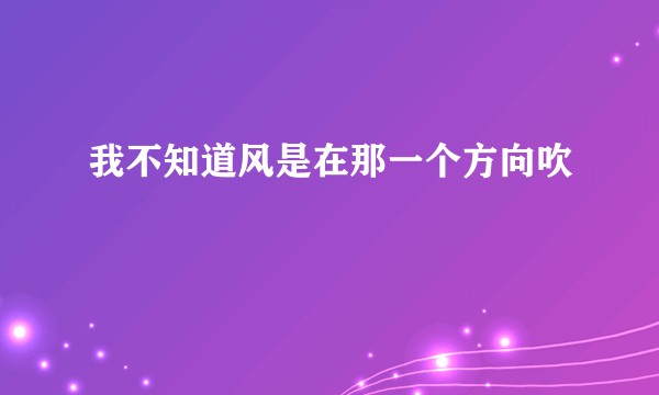 我不知道风是在那一个方向吹