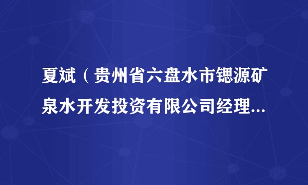 夏斌(贵州省六盘水市锶源矿泉水开发投资有限公司经理(接受审查调查))