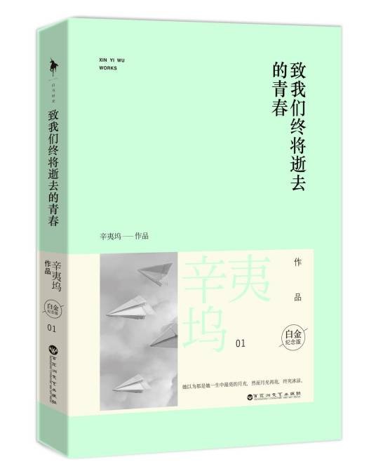 致我们终将逝去的青春（2007年辛夷坞著言情小说）