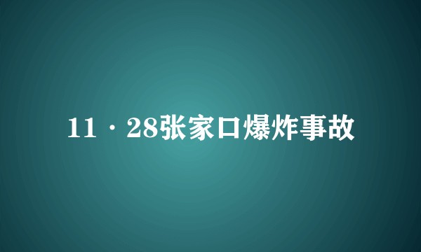 11·28张家口爆炸事故