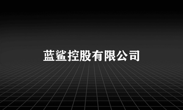 蓝鲨控股有限公司