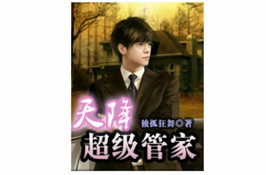 天降超级管家
