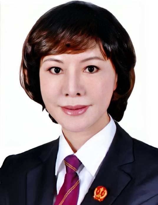 王萍（海南省高级人民法院原党组成员、副院长、审判委员会委员、审判员）
